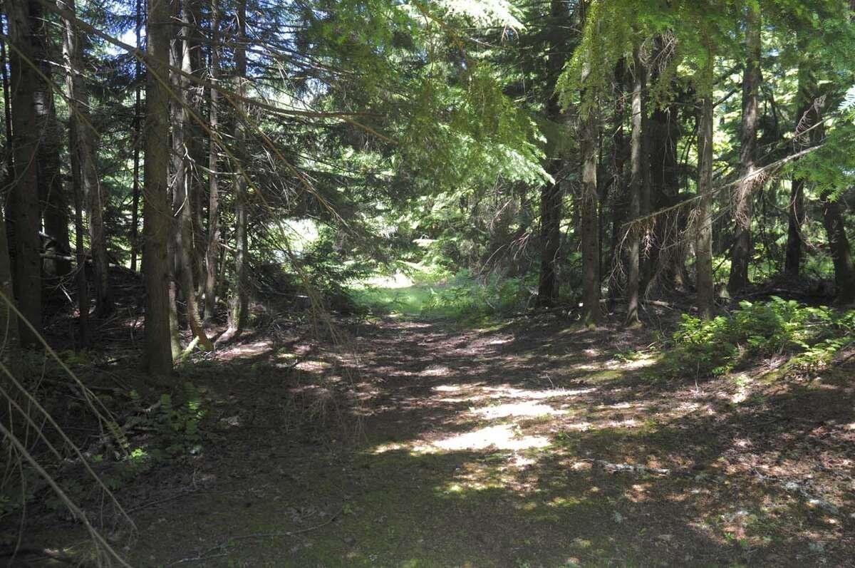 Photo of 43751 FROST ROAD, Columbia Valley 20
