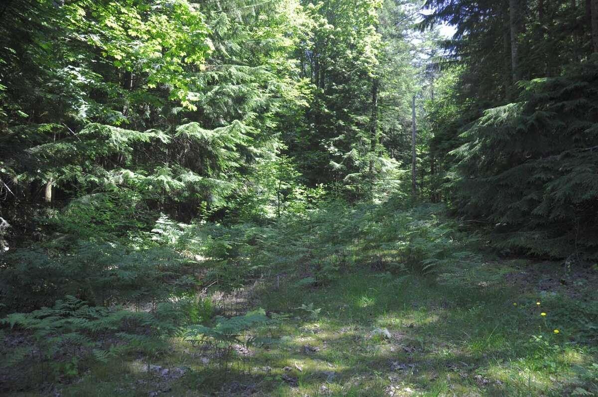 Photo of 43751 FROST ROAD, Columbia Valley 21