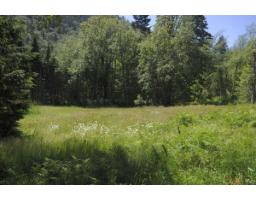 43751 Frost Road, Columbia Valley, Columbia Valley, BC V2R4X9 Photo 10