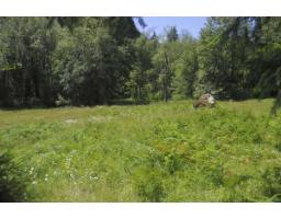 43751 Frost Road, Columbia Valley, Columbia Valley, BC V2R4X9 Photo 11