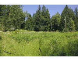 43751 Frost Road, Columbia Valley, Columbia Valley, BC V2R4X9 Photo 12