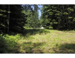 43751 Frost Road, Columbia Valley, Columbia Valley, BC V2R4X9 Photo 13
