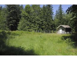 43751 Frost Road, Columbia Valley, Columbia Valley, BC V2R4X9 Photo 14