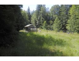43751 Frost Road, Columbia Valley, Columbia Valley, BC V2R4X9 Photo 15