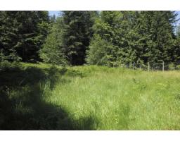 43751 Frost Road, Columbia Valley, Columbia Valley, BC V2R4X9 Photo 16