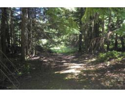 43751 Frost Road, Columbia Valley, Columbia Valley, BC V2R4X9 Photo 20
