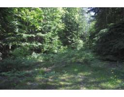 43751 Frost Road, Columbia Valley, Columbia Valley, BC V2R4X9 Photo 21