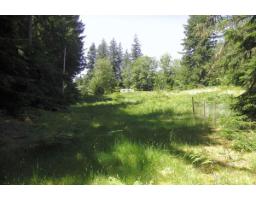 43751 Frost Road, Columbia Valley, Columbia Valley, BC V2R4X9 Photo 22