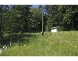 43751 Frost Road, Columbia Valley, Columbia Valley, BC V2R4X9 Photo 6