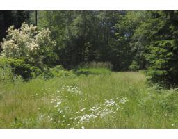 43751 Frost Road, Columbia Valley, Columbia Valley, BC V2R4X9 Photo 9