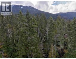 9285 Siskin Street, Whistler, BC V8E1M1 Photo 15