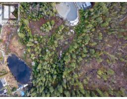 9285 Siskin Street, Whistler, BC V8E1M1 Photo 8