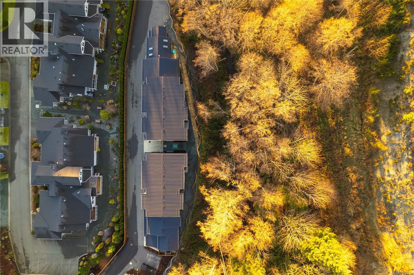 #107 2899 RIVER RD - 60