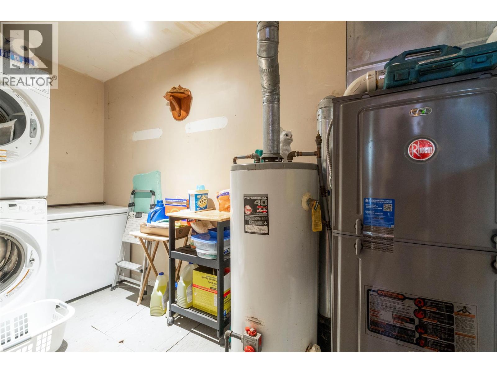 8225 Seymour Arm Forest Service Road, Seymour Arm