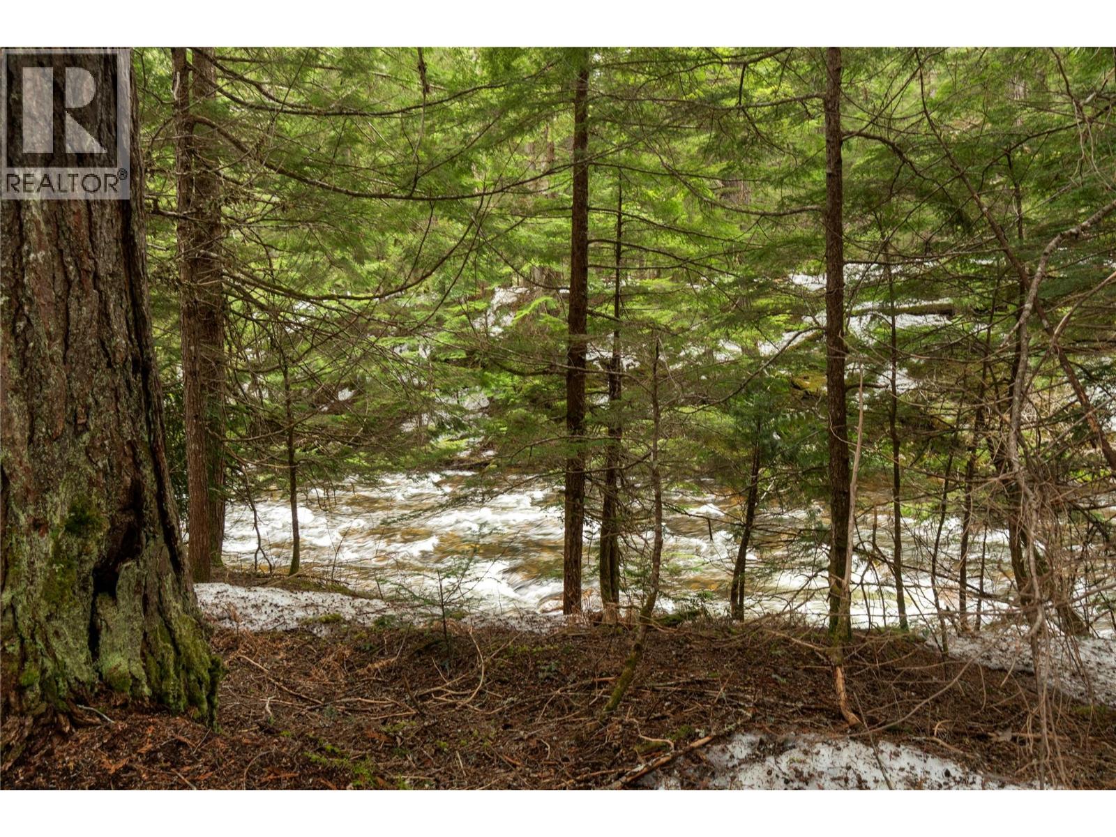 8225 Seymour Arm Forest Service Road, Seymour Arm