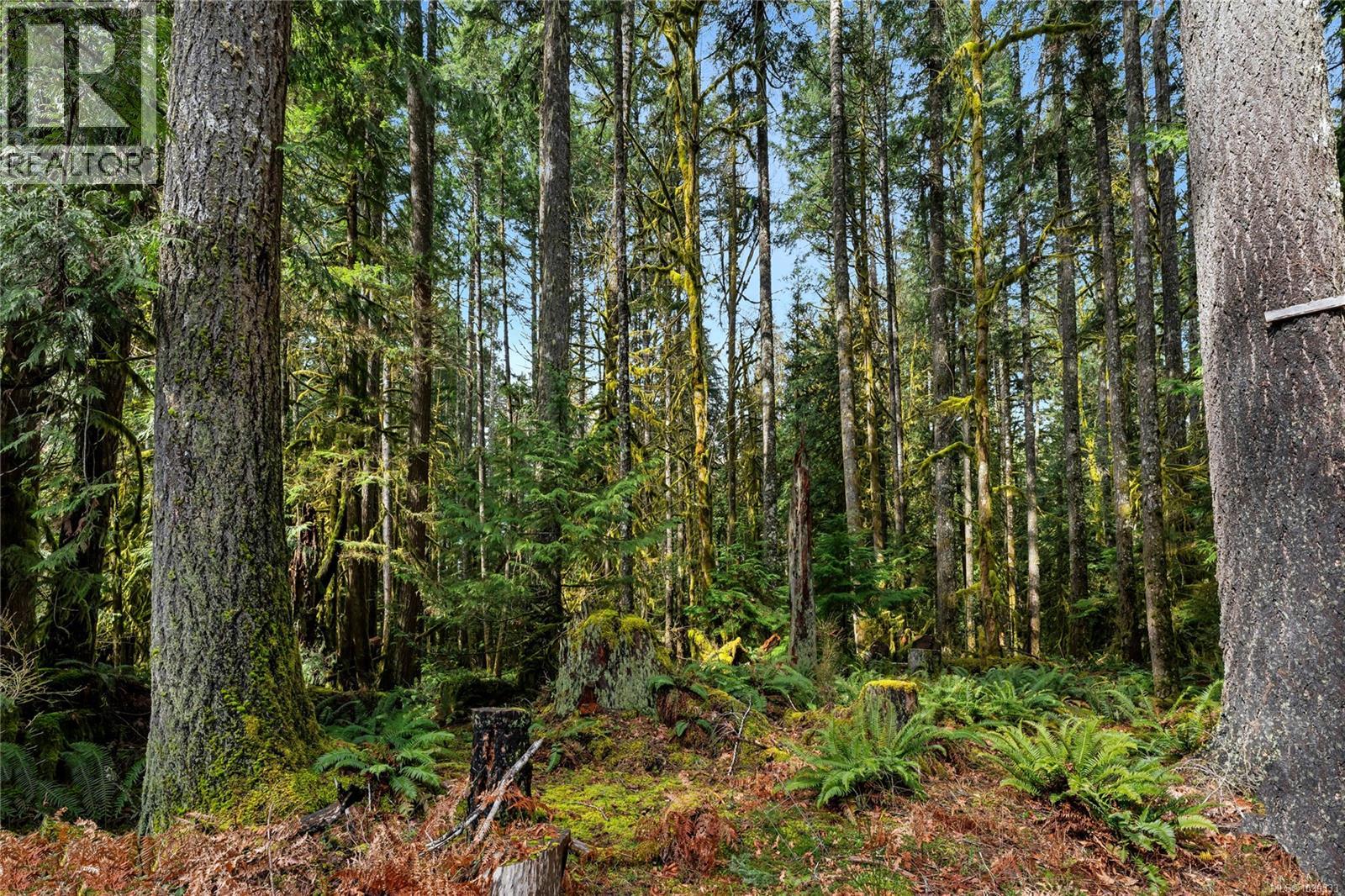 9296 WIDGEON WAY - 35