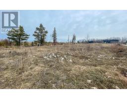 Lot 106 Sebastian Street, Blue Mountains, ON N0H1J0 Photo 10