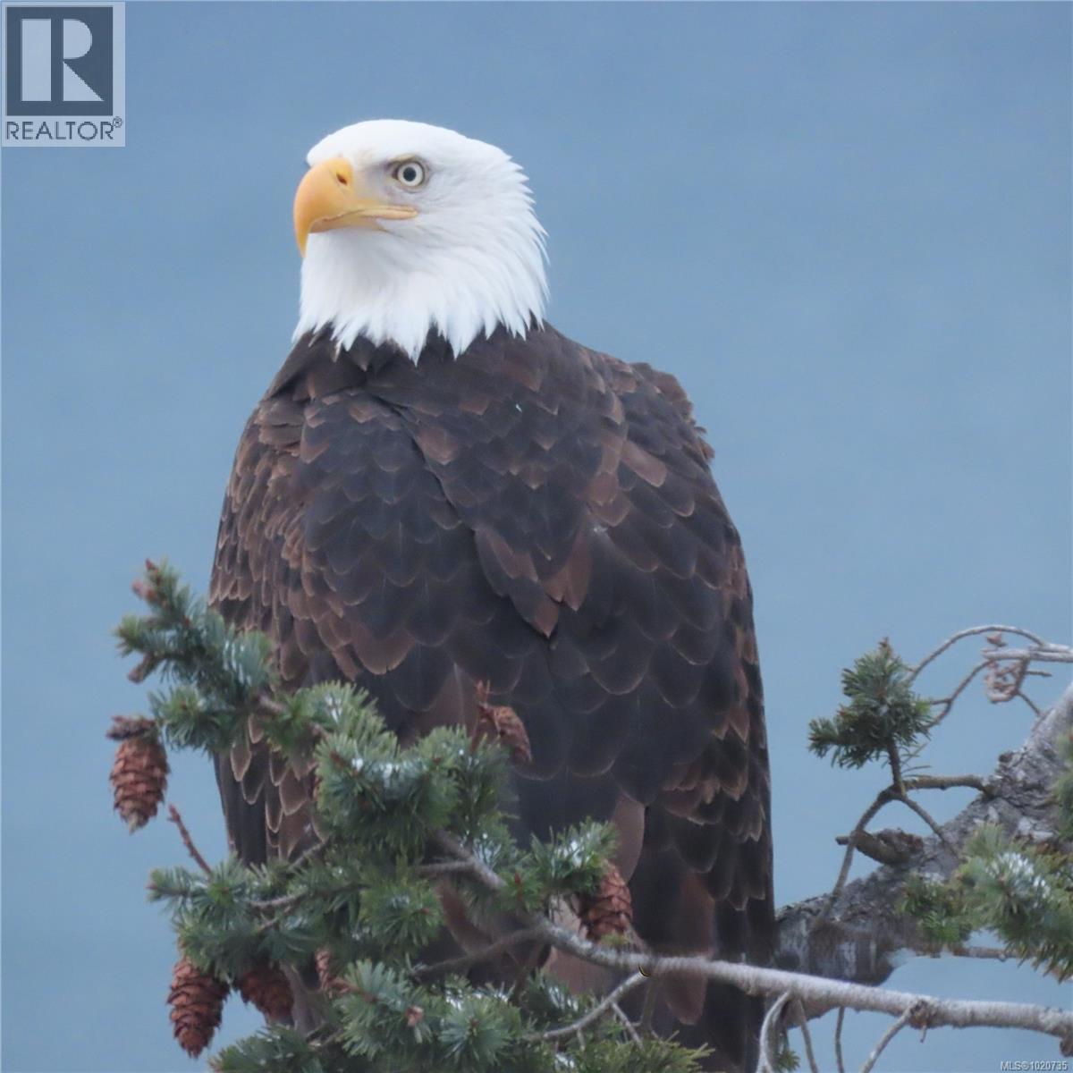 37189 SCHOONER WAY - 10