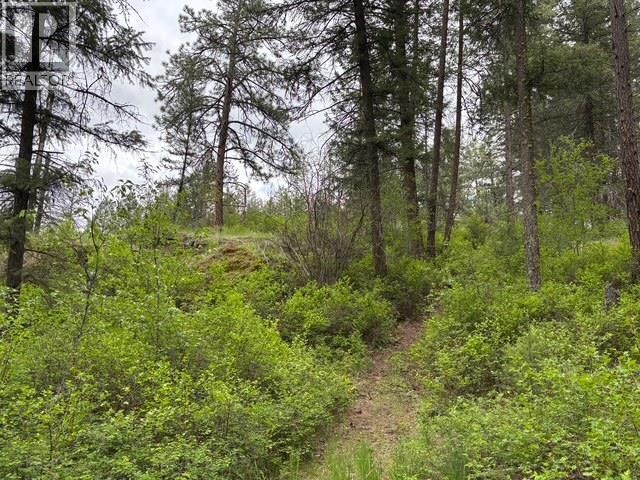 3900 Highway 3, Rock Creek