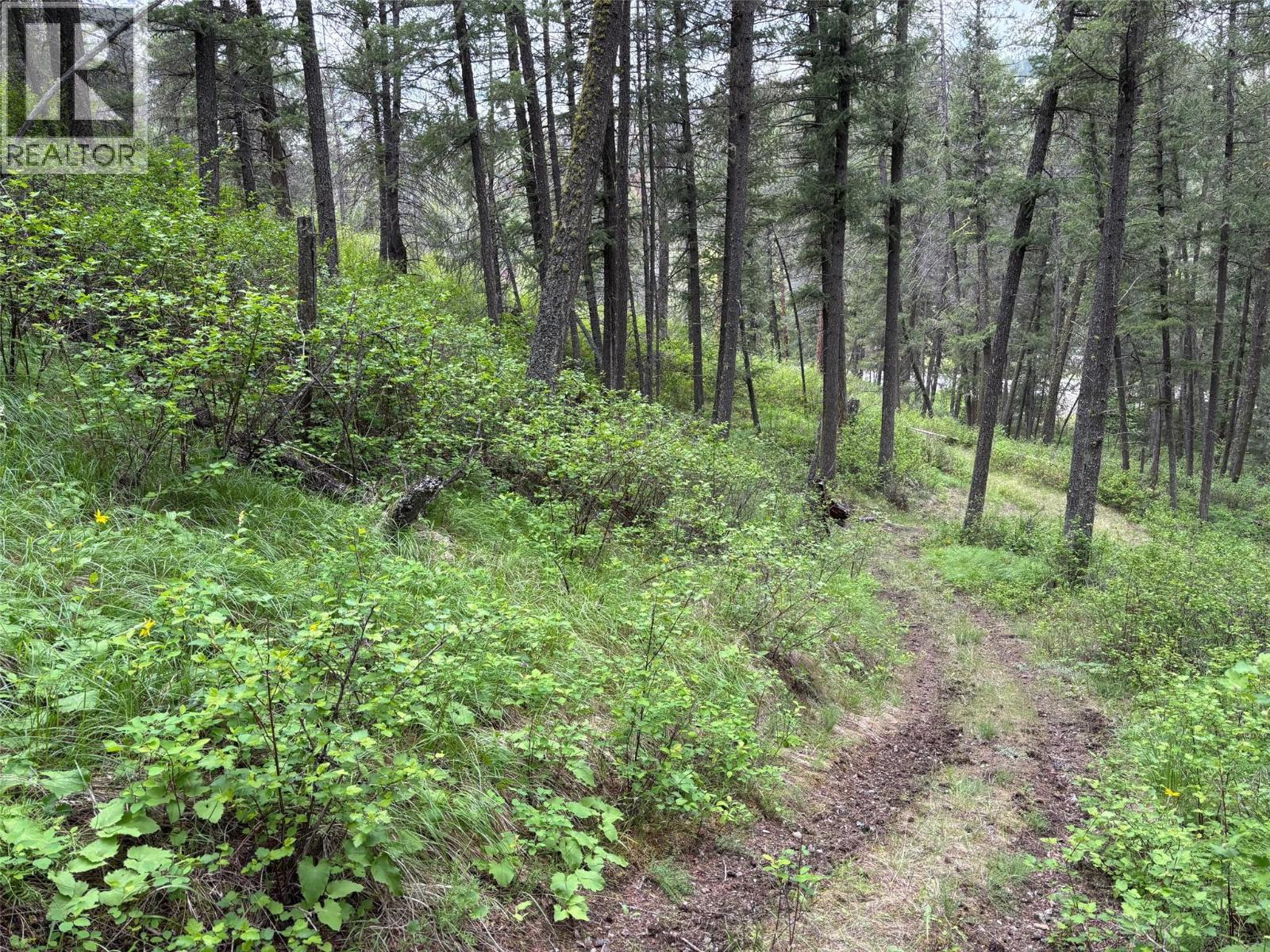 3900 Highway 3, Rock Creek