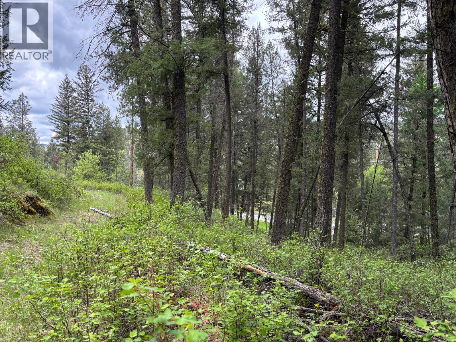 3900 Highway 3, Rock Creek