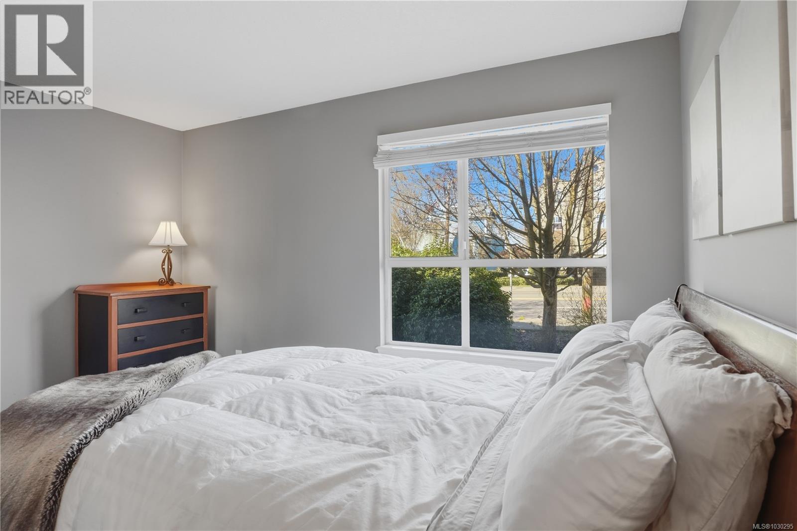 #207 1055 HILLSIDE AVE - 17