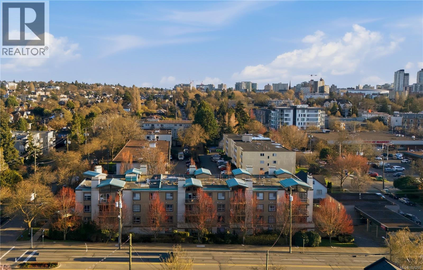 #207 1055 HILLSIDE AVE - 38