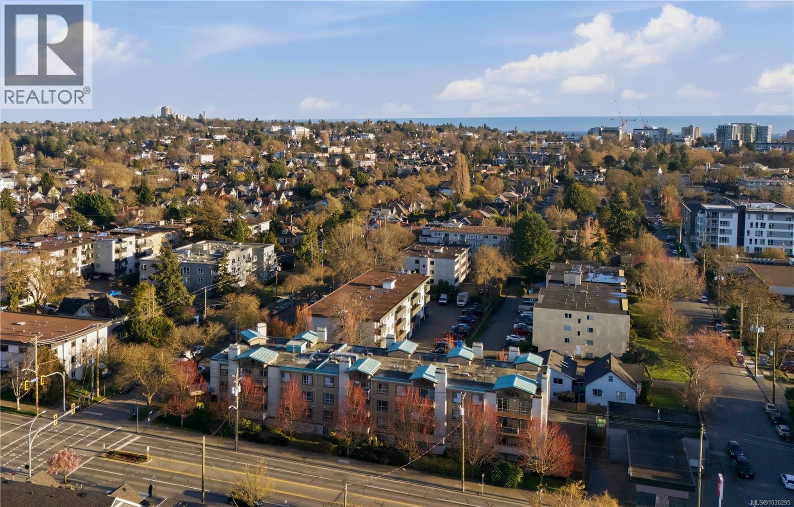 #207 1055 HILLSIDE AVE - 39