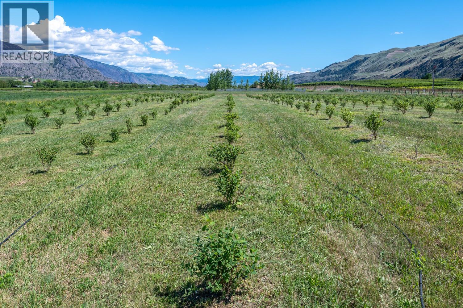  294 ROAD 18 Road, Oliver