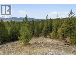 601 Raven Hill Road, Osoyoos, BC V0H1V6 Photo 67
