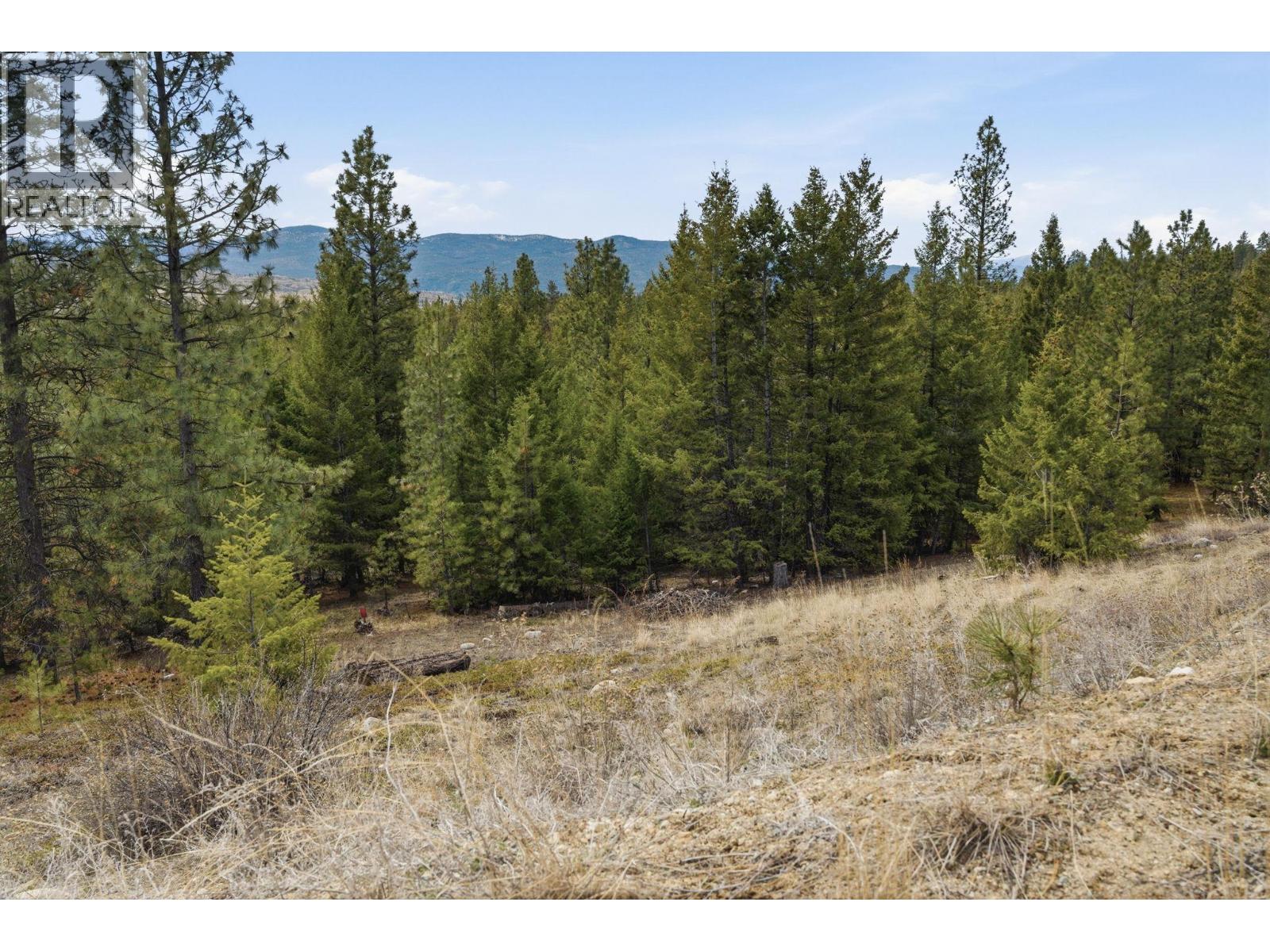 601 RAVEN HILL Road, Osoyoos