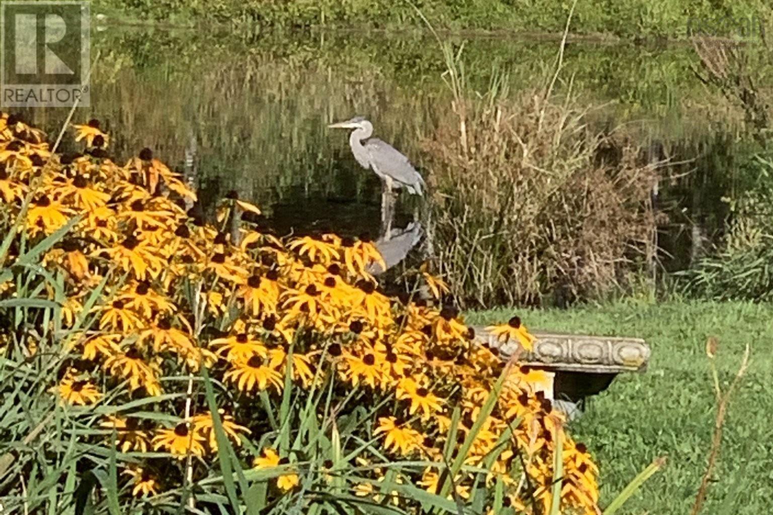 Property 38 of 47 of 302 42 Bigelow Street