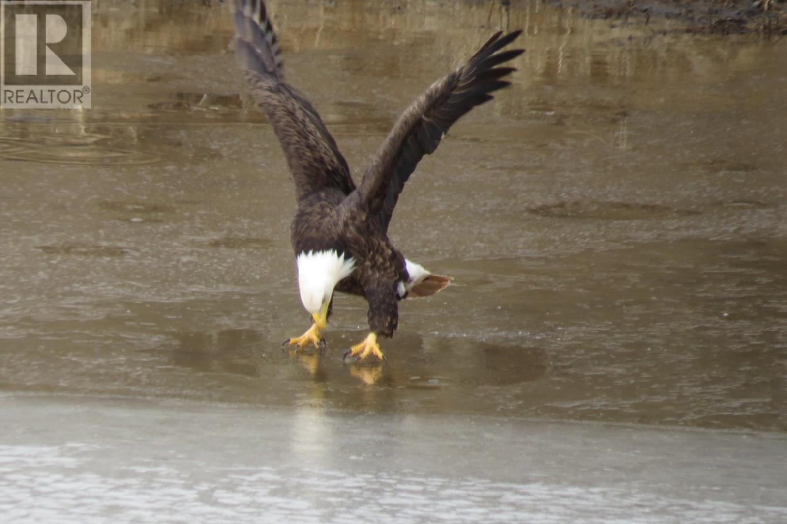 Property 39 of 47 of 302 42 Bigelow Street