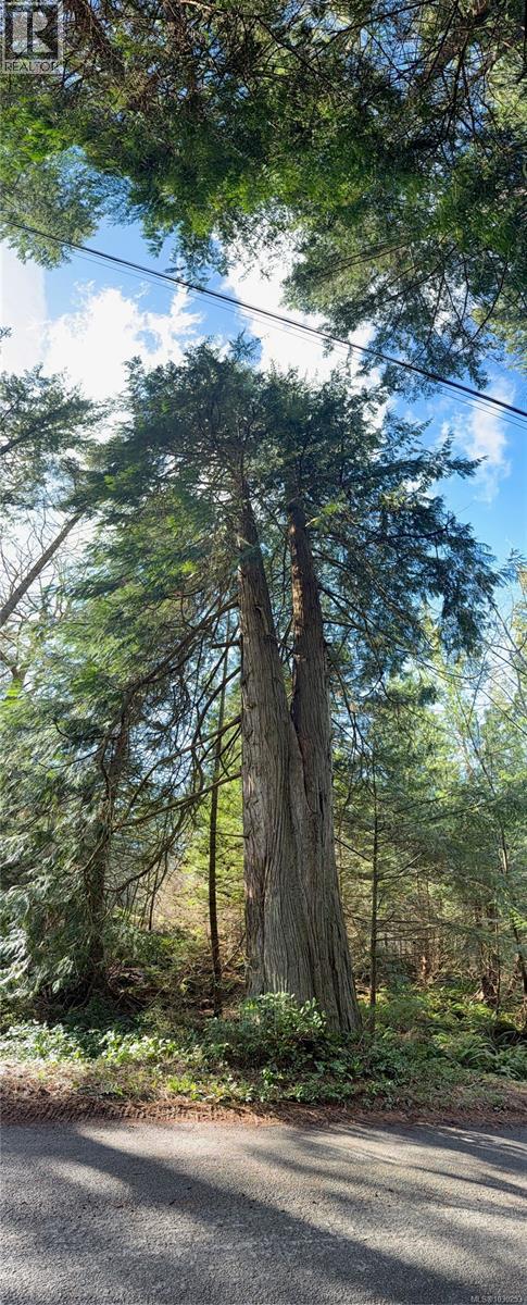 2359 KENDALL RD - Image 2