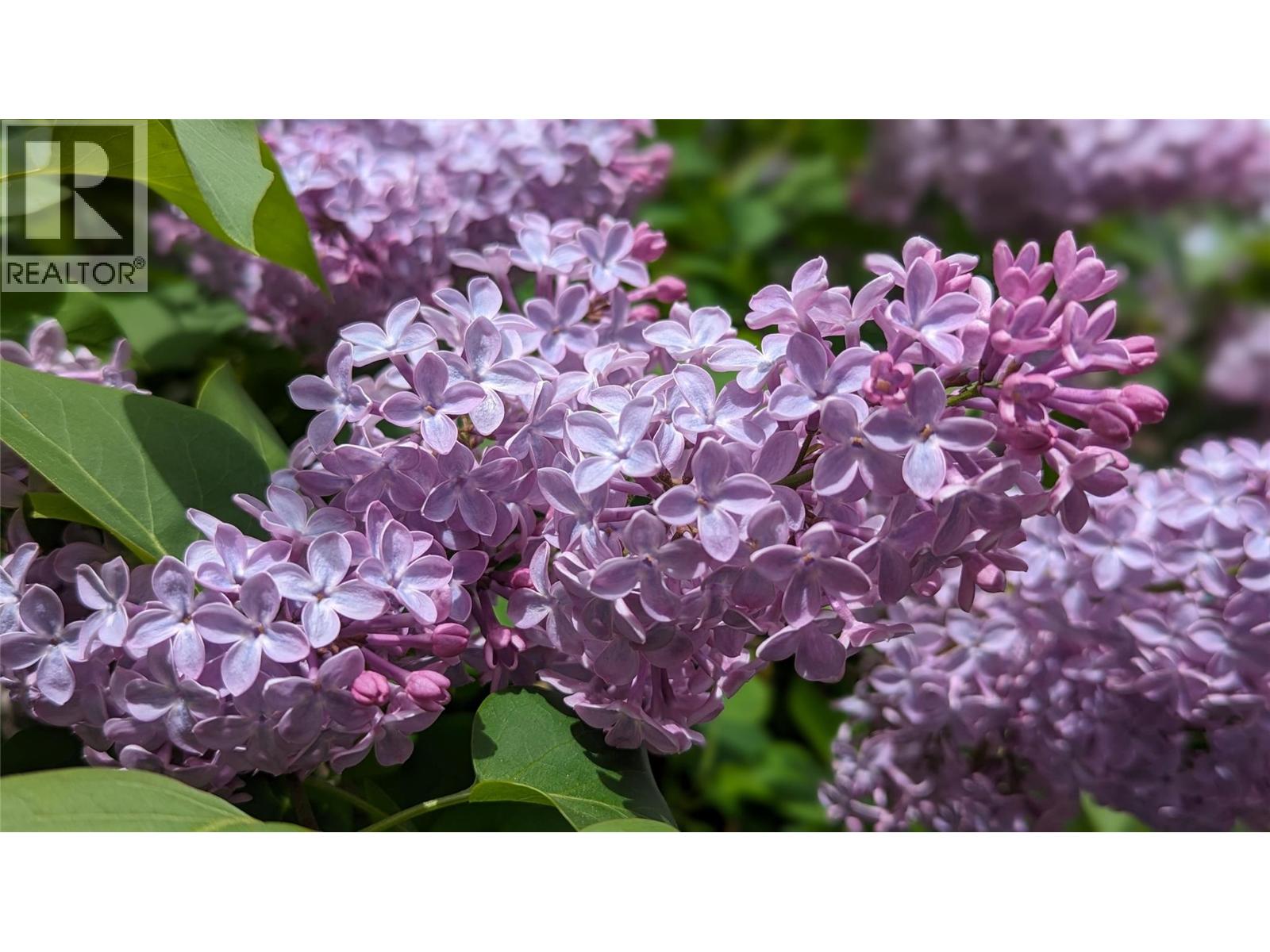  5405 DUTCH CREEK Road, Dutch Creek