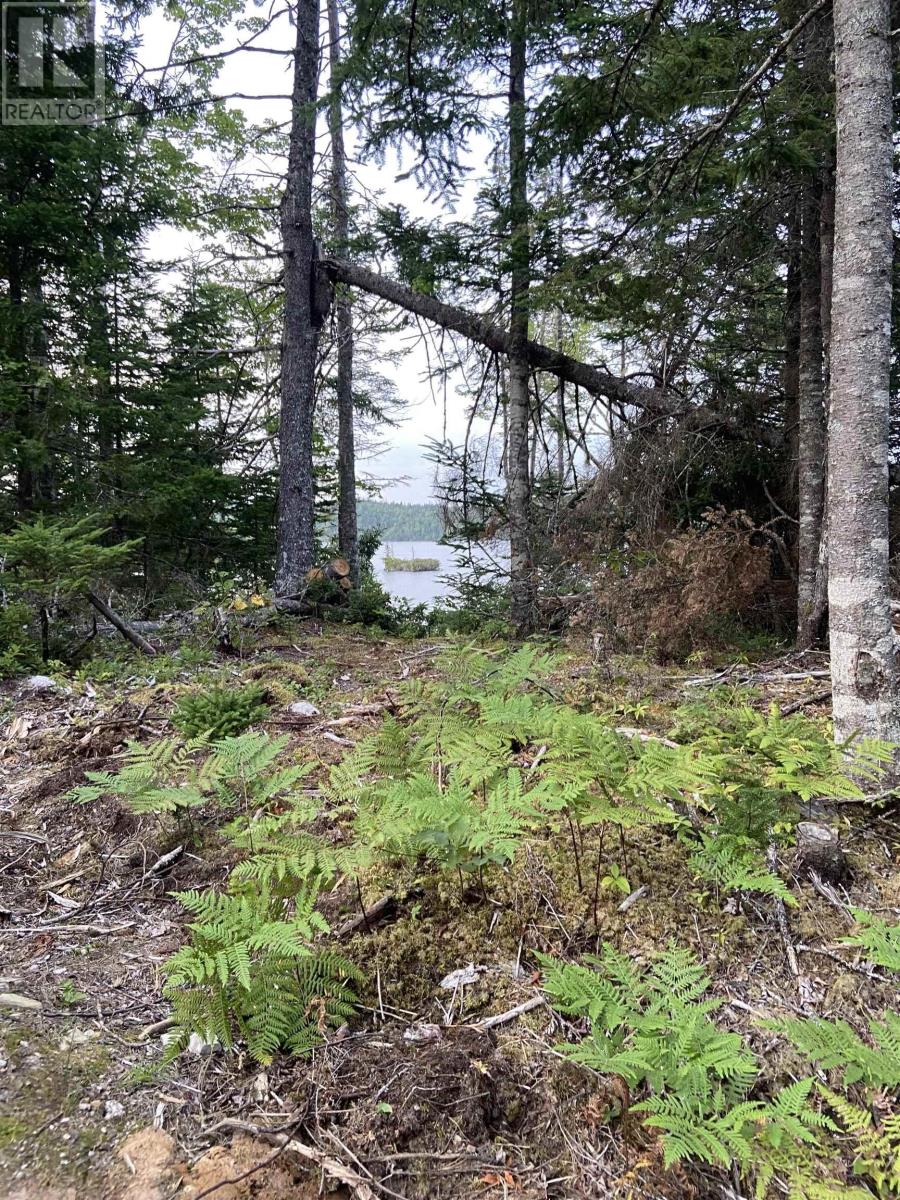 Property 3 of 7 of Lot 8C Longbridge Lake