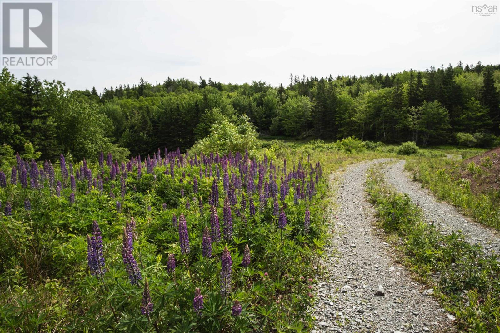 Property 8 of 19 of Highway 19