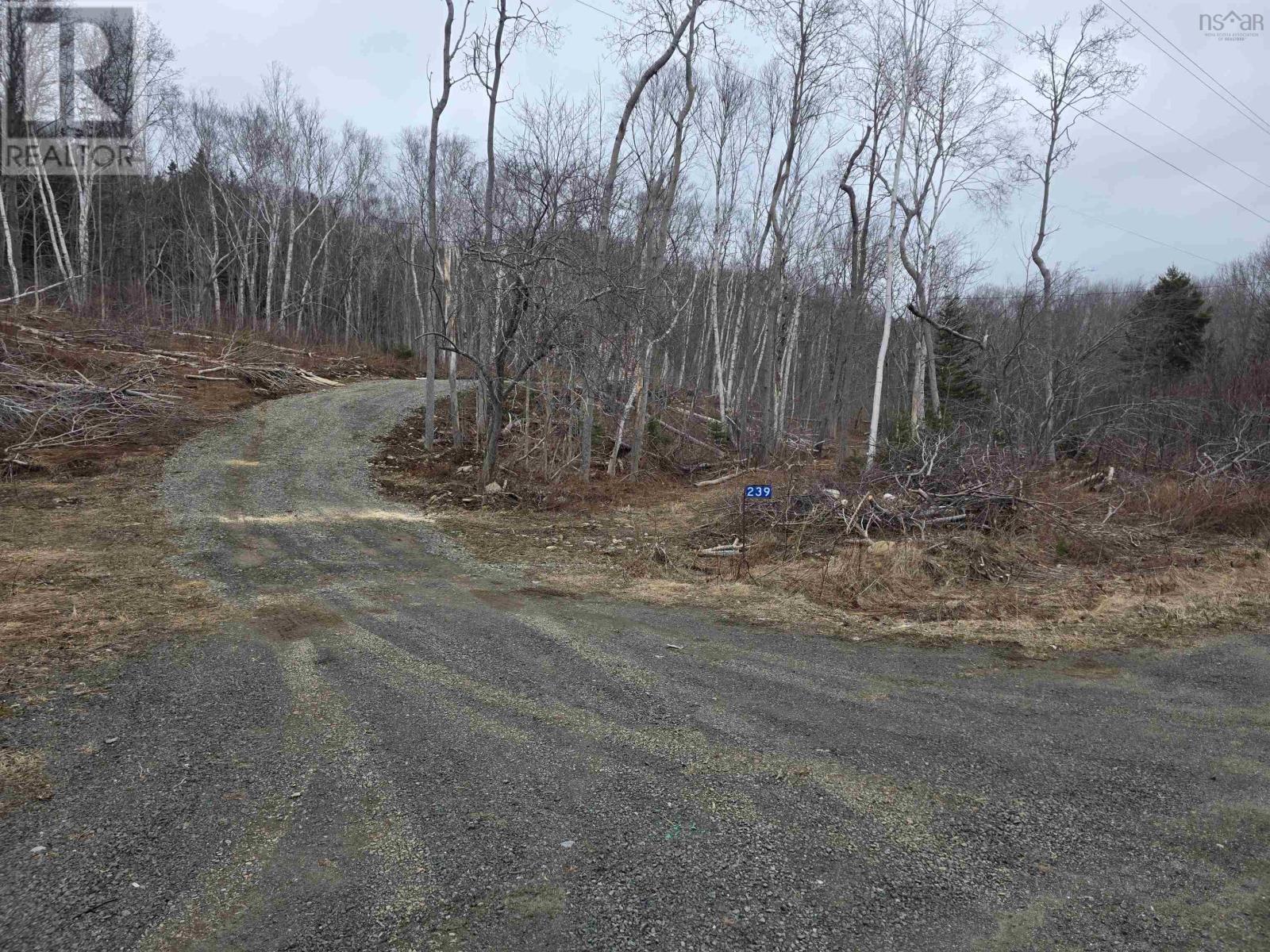 Property 2 of 20 of Lot 2 239 Sissiboo Road