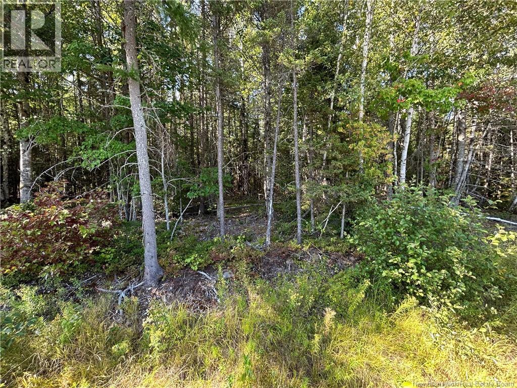 Lot 26-1 Upper Midland Road