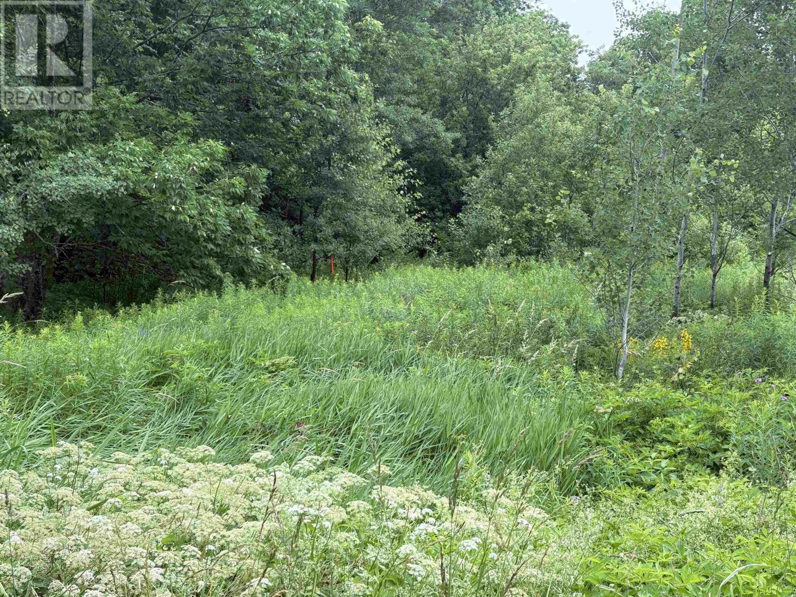 Property photo of Lot 235 Landsdowne Station Road