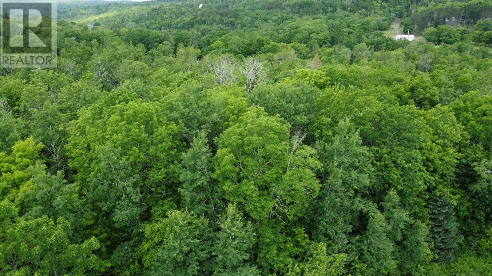 Property 3 of 9 of Lot 235 Landsdowne Station Road