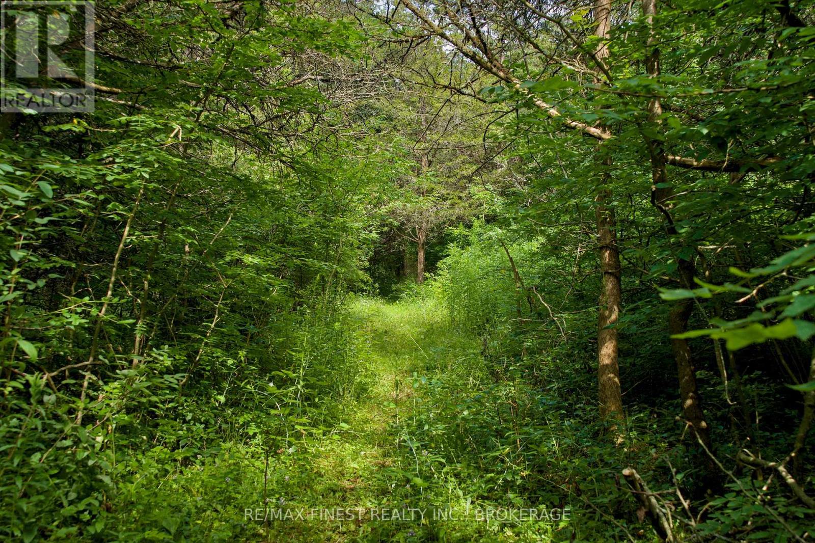 14005 FRONT ROAD - 36