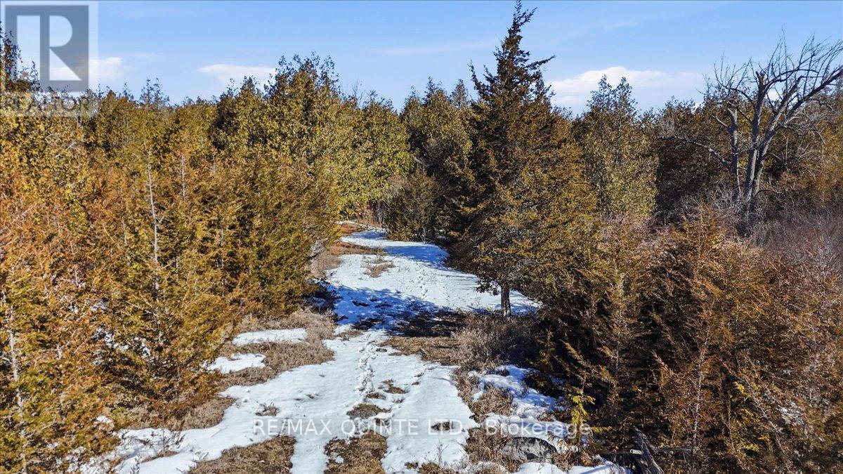 267 MAPLE SUGAR ROAD - 50