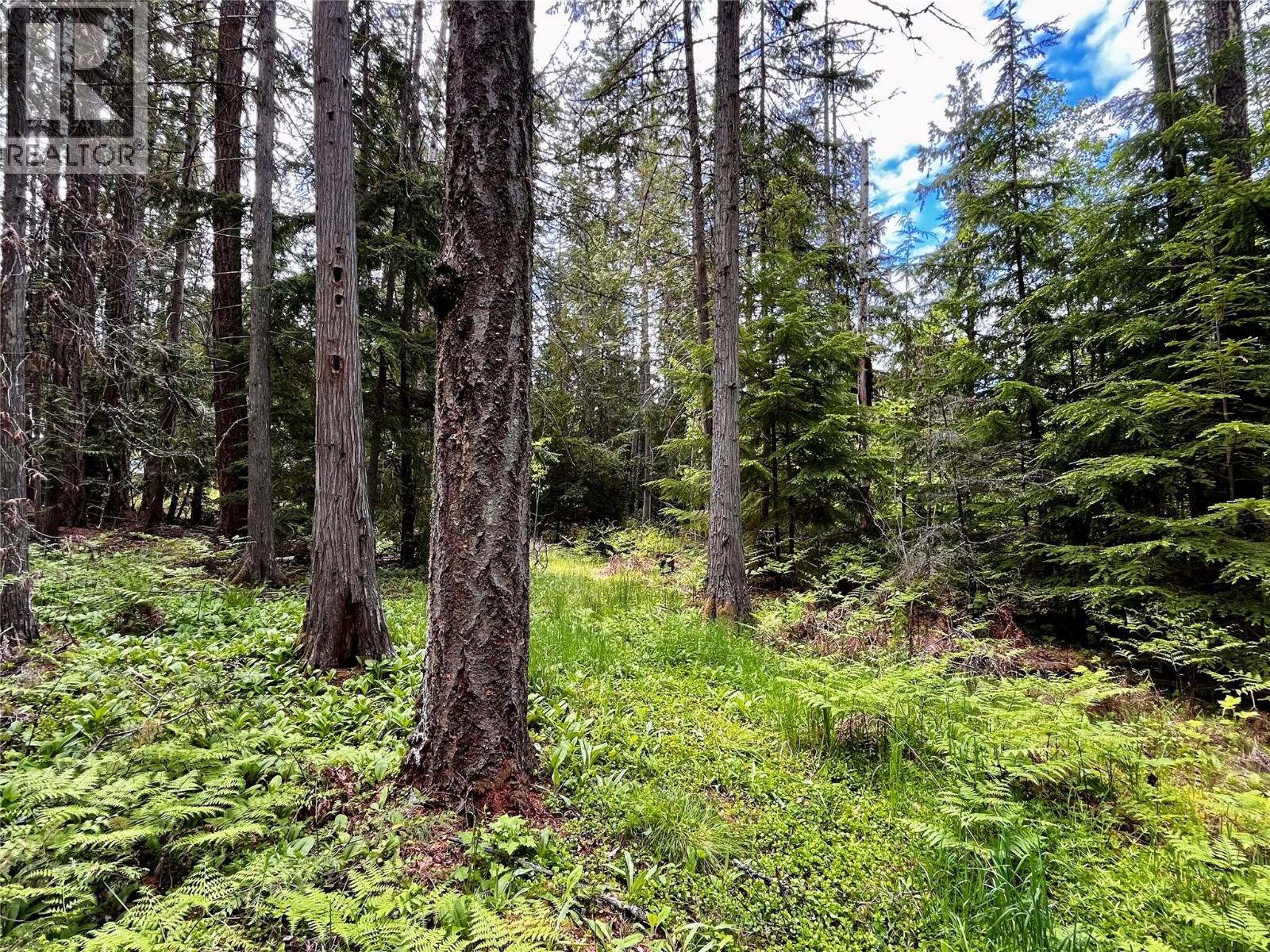 7705 Omen Road, Fauquier