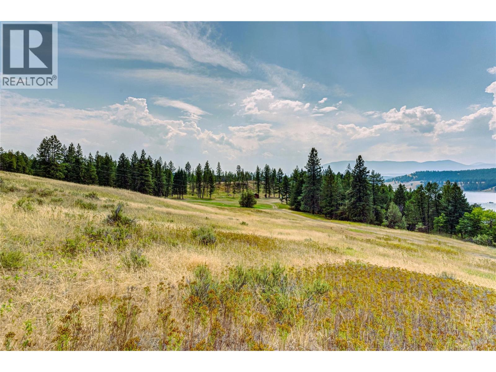 1347 WALDO ROAD - 16