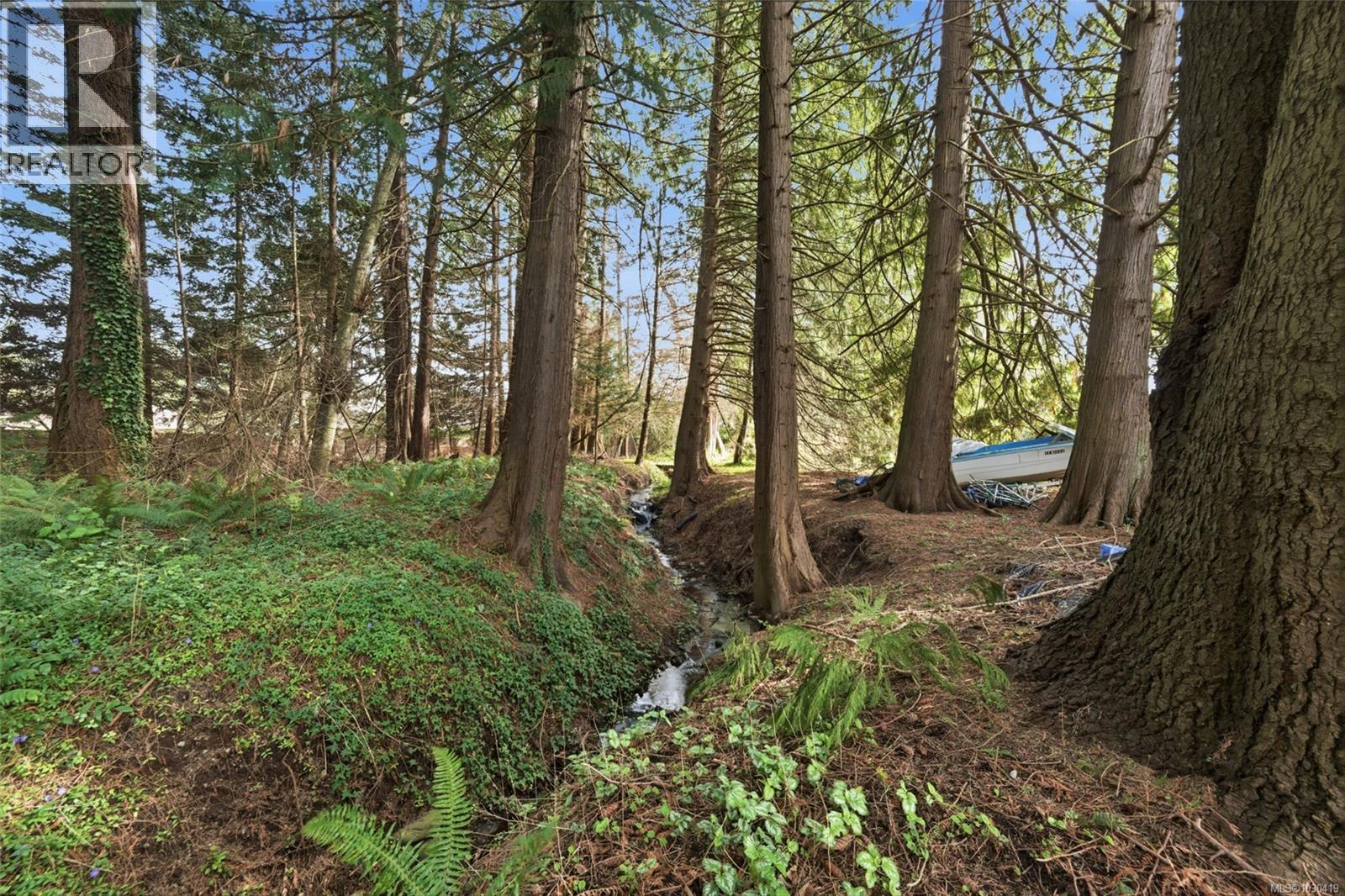 559 JOHNSTONE RD - 25