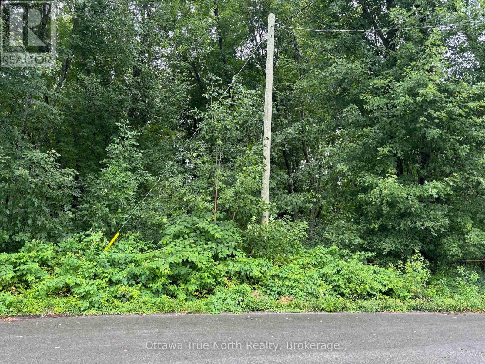 Land for Sale in Ottawa – 101 ALLBIRCH ROAD, Ottawa – MLS# X12940452 - Image 4