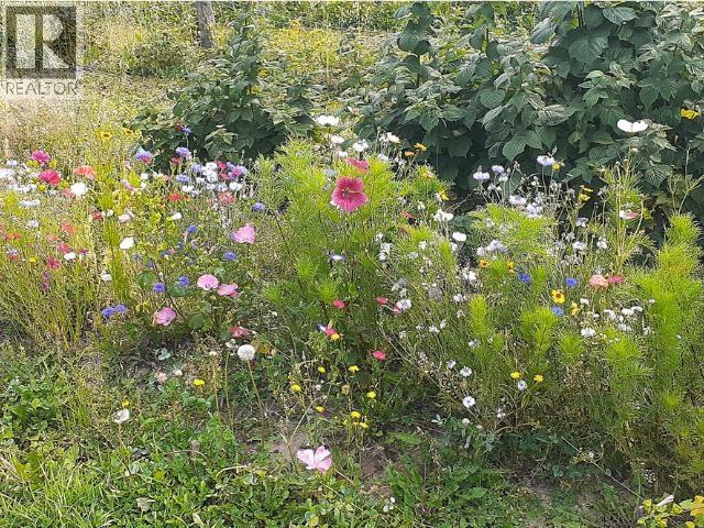 17053 PRESPATOU ROAD - 22