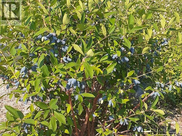 17053 PRESPATOU ROAD - 24