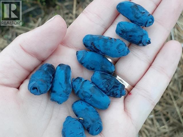 17053 PRESPATOU ROAD - 25